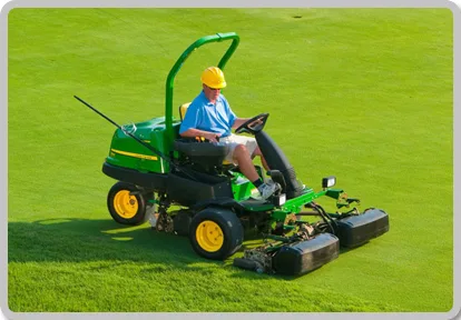 Expert Groundskeepers – Maintaining Beautiful & Well-Kept Landscapes